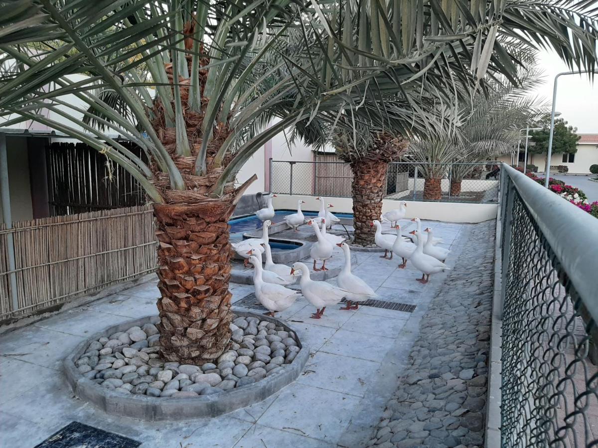 Asahalah Farm Pool Villas Seeb Exterior foto